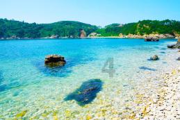 生化危机：浣熊市行动
